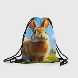 Мешок для обуви Солнечный кролик на лугу