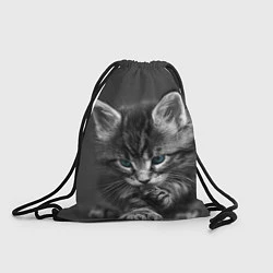 Рюкзак-мешок Голубоглазый котенок, цвет: 3D-принт