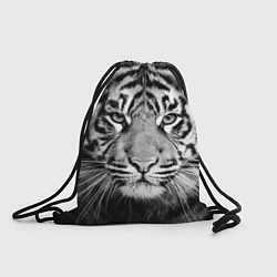 Мешок для обуви Красавец тигр