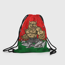 Рюкзак-мешок Белорусский зубр, цвет: 3D-принт