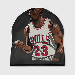 Шапка Bulls 23: Jordan