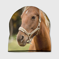 Шапка Взгляд лошади, цвет: 3D-принт