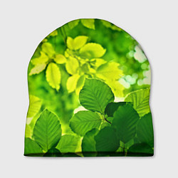 Шапка Зелёные листья