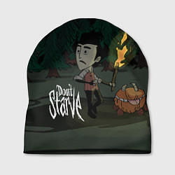 Шапка Don't Starve: Night Forrest