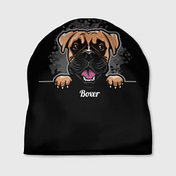 Шапка Боксёр Boxer, цвет: 3D-принт