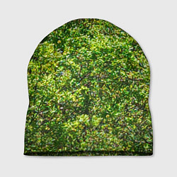 Шапка Камуфляж Дубки, цвет: 3D-принт