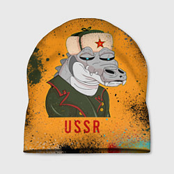 Шапка Nft token art USSR