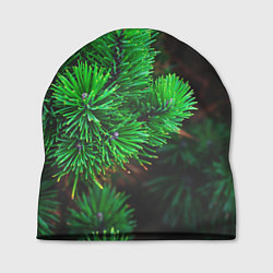 Шапка Зелёный лес России, цвет: 3D-принт