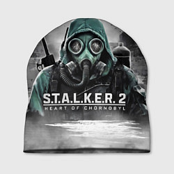 Шапка Stalker 2 heart of Chornobyl radiation