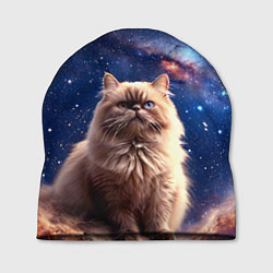 Шапка Гималайская кошка в космосе
