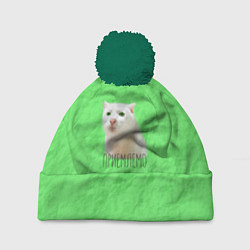 Шапка с помпоном Приемлемо кот мем, цвет: 3D-зеленый