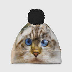 Шапка с помпоном Кошка породы шотландская вислоухая косоглазая, цвет: 3D-черный