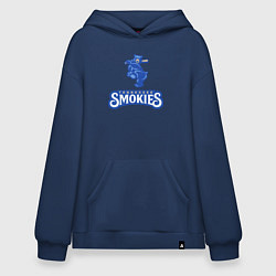 Худи оверсайз Tennessee smokies - baseball team