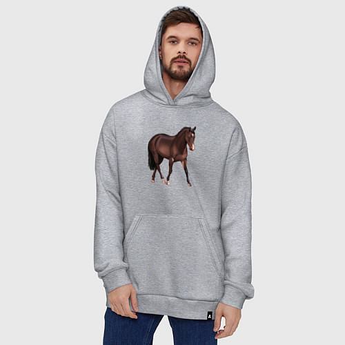 Худи оверсайз Австралийская пастушья лошадь / Меланж – фото 4