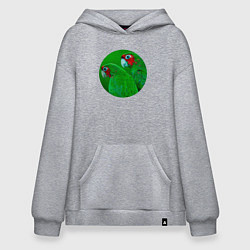 Худи оверсайз Два зелёных попугая