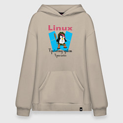 Худи оверсайз Пингвин линукс в шляпе