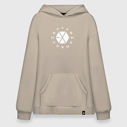 Худи оверсайз Logo EXO