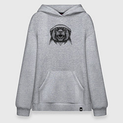 Толстовка-худи оверсайз Медоед рычит, цвет: меланж