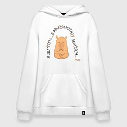 Худи оверсайз Капибара спокойный: я збагоен