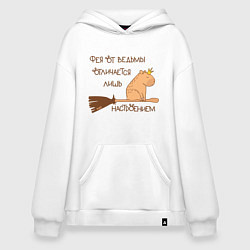 Худи оверсайз Мем капибара на метле: фея и ведьма