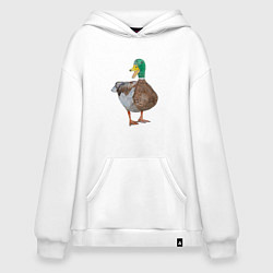 Худи оверсайз Утка селезень