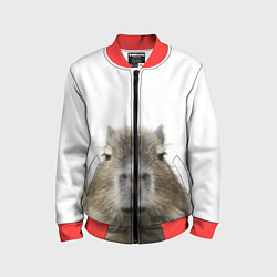 Детский бомбер Капибара пофигист