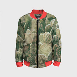 Детский бомбер Поле кактусов