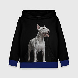 Детская толстовка Bully