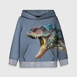 Толстовка-худи детская Хищный динозавр Dino Z, цвет: 3D-меланж