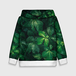 Детская толстовка Тропическая листва Тропики Z