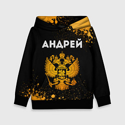 Толстовка-худи детская Андрей и зологой герб РФ, цвет: 3D-черный