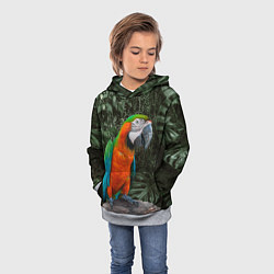 Толстовка-худи детская Попугай Макао, цвет: 3D-меланж — фото 2