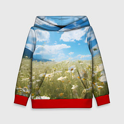 Детская толстовка Ромашковое поле