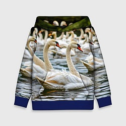 Толстовка-худи детская Белые лебеди на пруду, цвет: 3D-синий