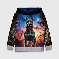 Толстовка-худи детская Ризеншнауцер в космосе, цвет: 3D-меланж