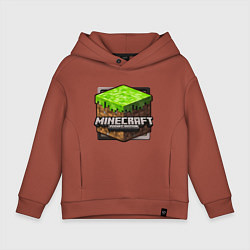 Детское худи оверсайз Minecraft: Pocket Edition
