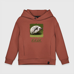 Детское худи оверсайз ЁЖ