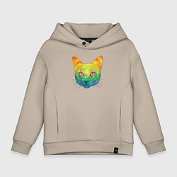 Детское худи оверсайз Радужный котик rainbow cat