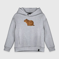 Детское худи оверсайз Капибара сидит и спит