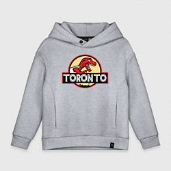 Детское худи оверсайз Toronto dinosaur