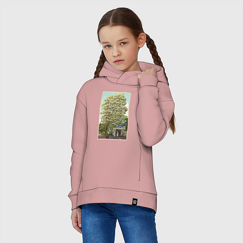 Детское худи оверсайз Хаяо Миядзаки - studio ghibli / Пыльно-розовый – фото 3
