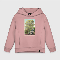 Детское худи оверсайз Хаяо Миядзаки - studio ghibli