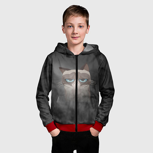 Детская толстовка на молнии Grumpy Cat / 3D-Красный – фото 3