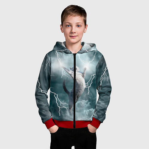 Детская толстовка на молнии Грозовой кошак / 3D-Красный – фото 3