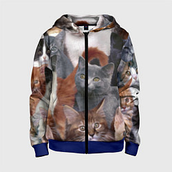 Толстовка на молнии детская КОТЯТКИ, цвет: 3D-синий