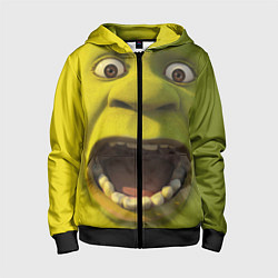 Толстовка на молнии детская Shrek is Yelling, цвет: 3D-черный