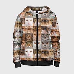 Толстовка на молнии детская Pedigreed cats, цвет: 3D-черный