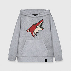 Толстовка детская хлопковая Phoenix Coyotes, цвет: меланж