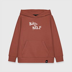 Толстовка детская хлопковая Bad Wolf злой волк, цвет: кирпичный