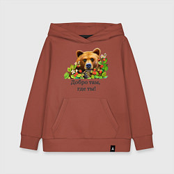 Толстовка детская хлопковая Медведь добро там где ты, цвет: кирпичный